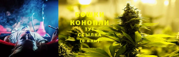 ешки Надым
