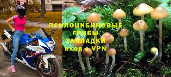 ешки Надым