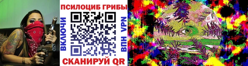 площадка наркотические препараты  Казань  Псилоцибиновые грибы GOLDEN TEACHER 