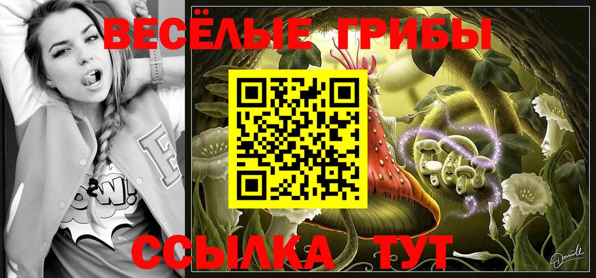 Галлюциногенные грибы Magic Shrooms Казань