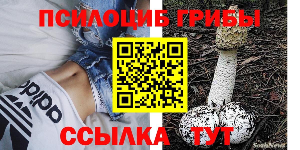 Казань  Галлюциногенные грибы GOLDEN TEACHER  Вход с VPN 