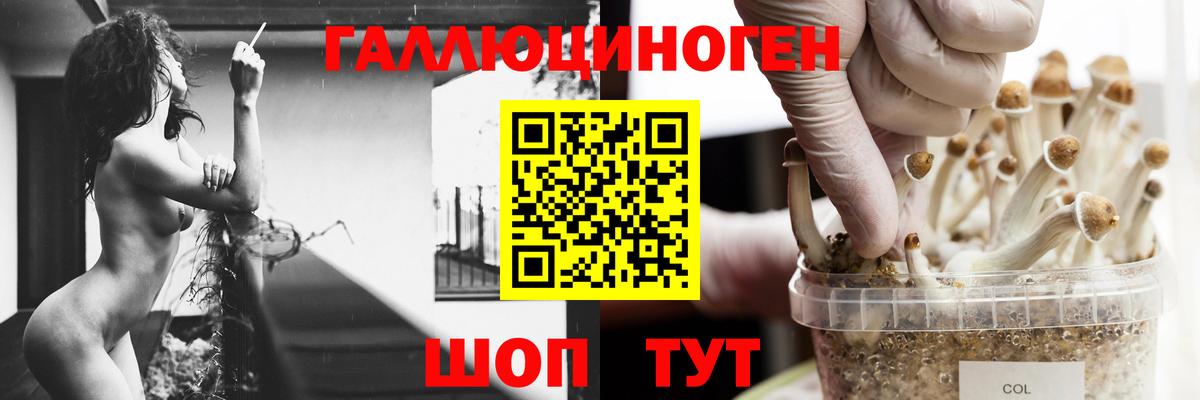 Галлюциногенные грибы мухоморы  Псилоцибиновые грибы GOLDEN TEACHER  Казань 