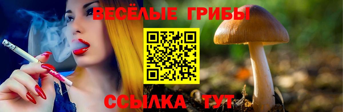 Галлюциногенные грибы прущие грибы Казань